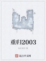 重归2003